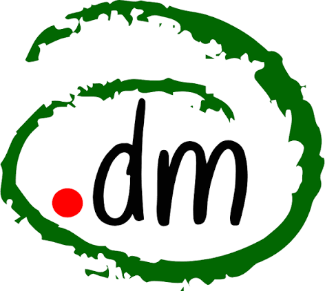 dm logo