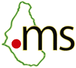 ms logo